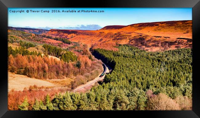 Scotsman in the Dale Framed Print by Trevor Camp