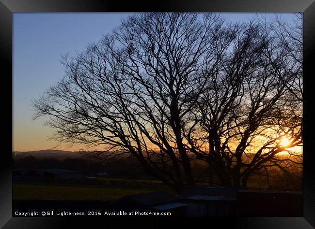 Sunset Through The Tree Framed Print by Bill Lighterness