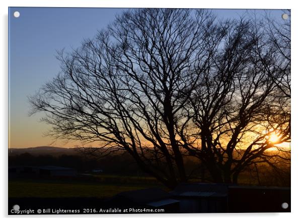 Sunset Through The Tree Acrylic by Bill Lighterness