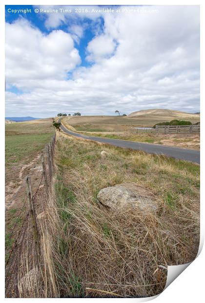 Winding road at Pyalong, Victoria, Australia Print by Pauline Tims