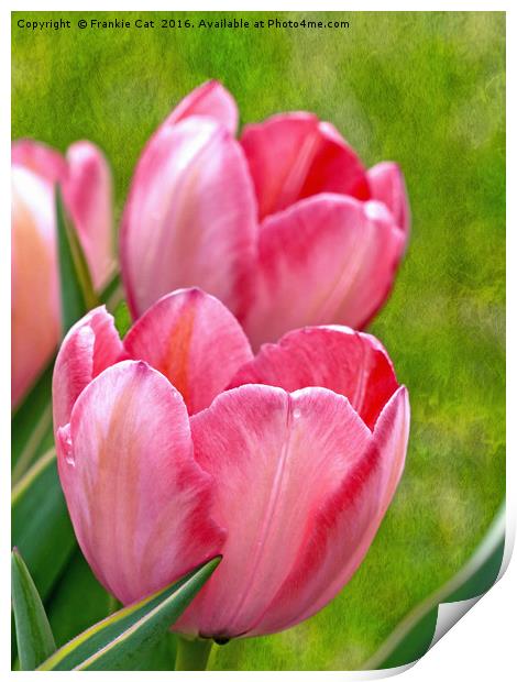 Pink Tulips Print by Frankie Cat
