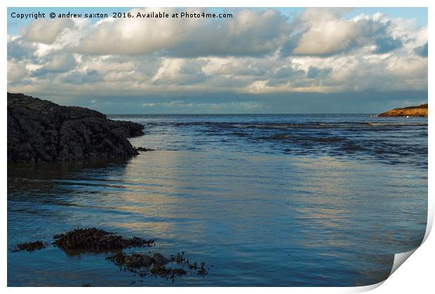 CLOUDY SKY Print by andrew saxton