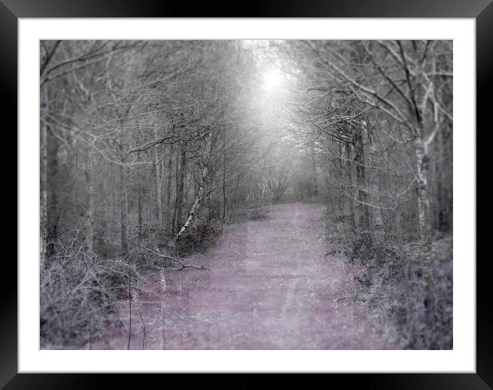 the lilac path Framed Mounted Print by paul ratcliffe