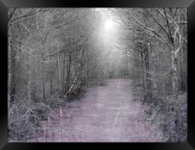 the lilac path Framed Print by paul ratcliffe