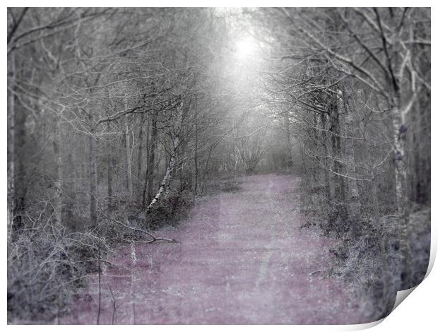 the lilac path Print by paul ratcliffe