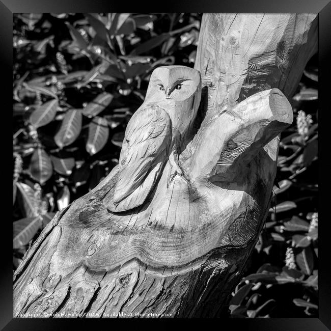 Tree Owl  Framed Print by Rob Hawkins