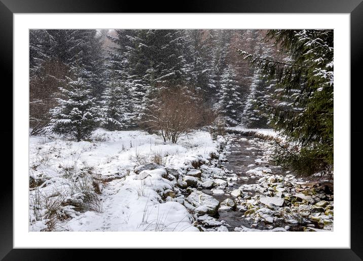 Snowy forest beside the Snake Pass Framed Mounted Print by Andrew Kearton