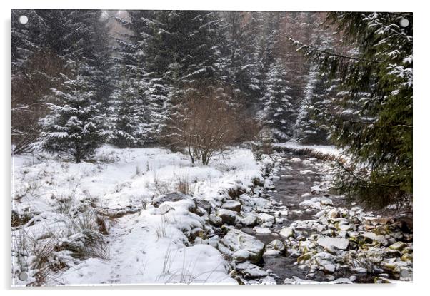 Snowy forest beside the Snake Pass Acrylic by Andrew Kearton