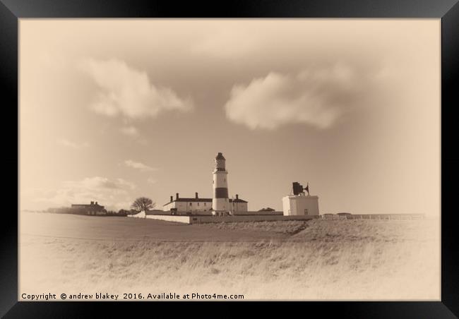 Souter lighthouse, old plate Framed Print by andrew blakey