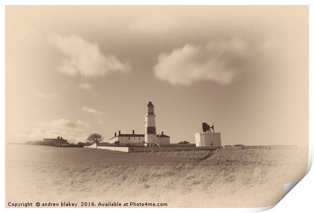 Souter lighthouse, old plate Print by andrew blakey