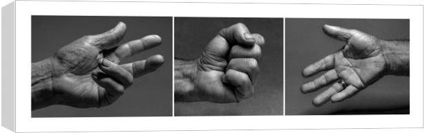 Gestures Canvas Print by Philip Hodges aFIAP ,