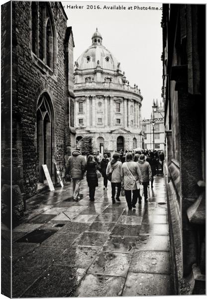 The Radcliffe Camera Building, Oxford, UK Canvas Print by Andrew Harker