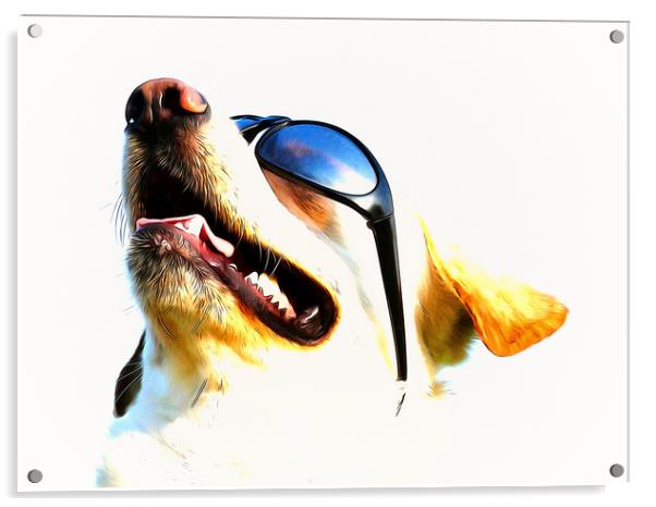 My cool dog Timmy  Acrylic by Dagmar Giers