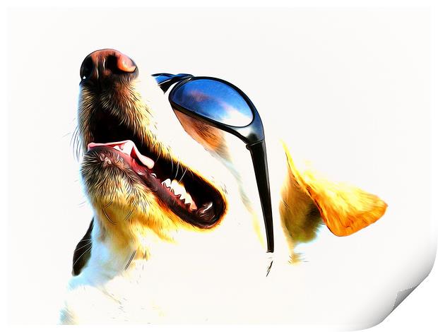 My cool dog Timmy  Print by Dagmar Giers