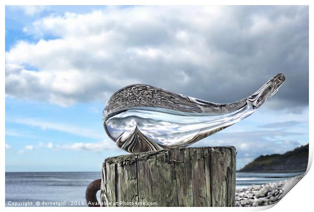 Beached Whale Print by Susie Peek