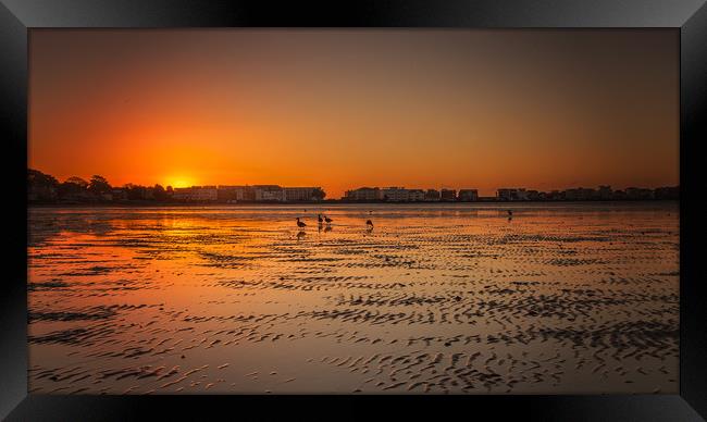 Sunset at Sandbanks Framed Print by Jennie Franklin