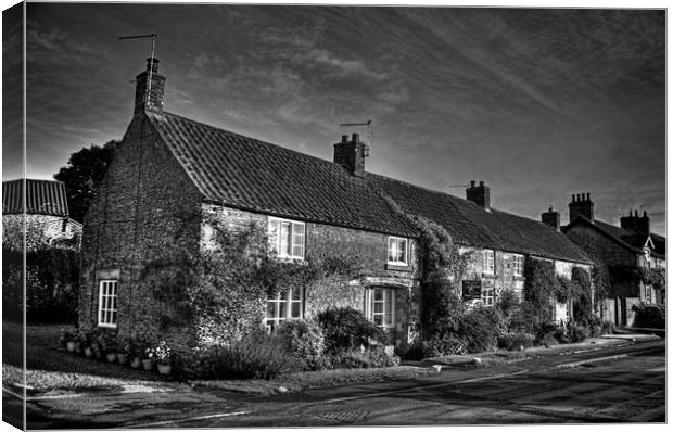 Gillamoor Cottages in mono Canvas Print by Colin Metcalf