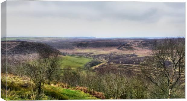 Hole of Horcum Canvas Print by Dave Leason