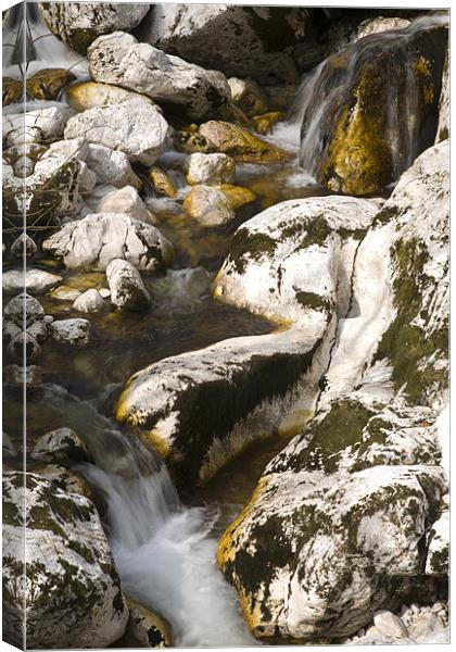 Stream near Savica Waterfall, Bohinj, Slovenia. Canvas Print by Ian Middleton