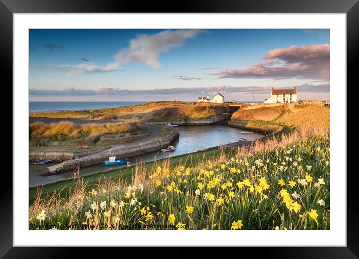 Seaton Sluice in the Spring Framed Mounted Print by Paul Appleby