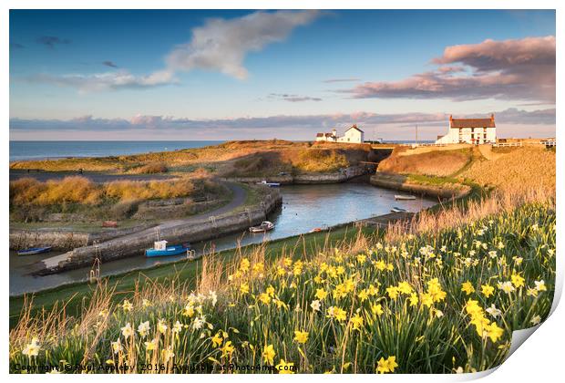 Seaton Sluice in the Spring Print by Paul Appleby