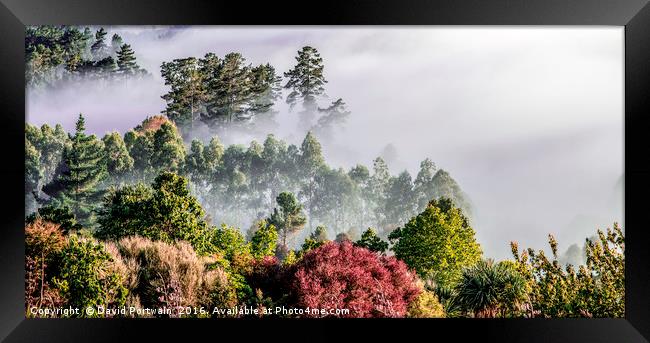 Misty valley, Taupo, New Zealand Framed Print by David Portwain