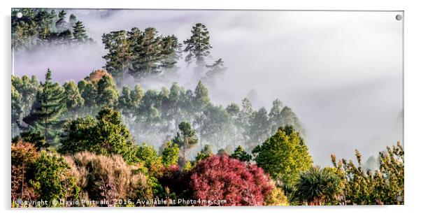Misty valley, Taupo, New Zealand Acrylic by David Portwain