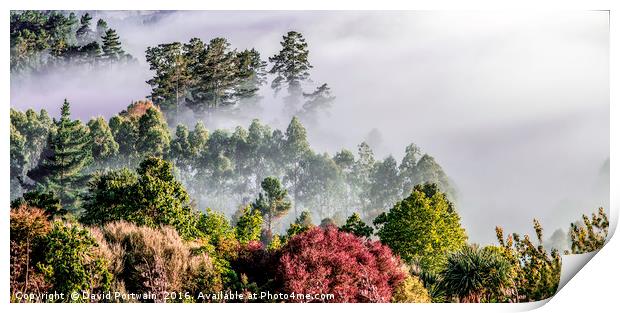 Misty valley, Taupo, New Zealand Print by David Portwain