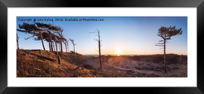 Pines of Formby pano Framed Mounted Print by John Ealing