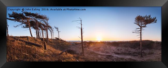 Pines of Formby pano Framed Print by John Ealing