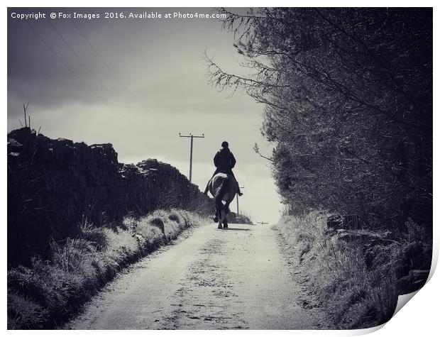 Horse on the lane Print by Derrick Fox Lomax