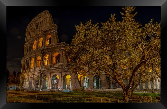 The Colosseum Framed Print by Paul Andrews