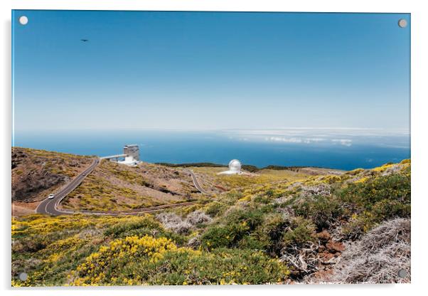 Roque de los Muchachos Astronomical Observatory. L Acrylic by Liam Grant