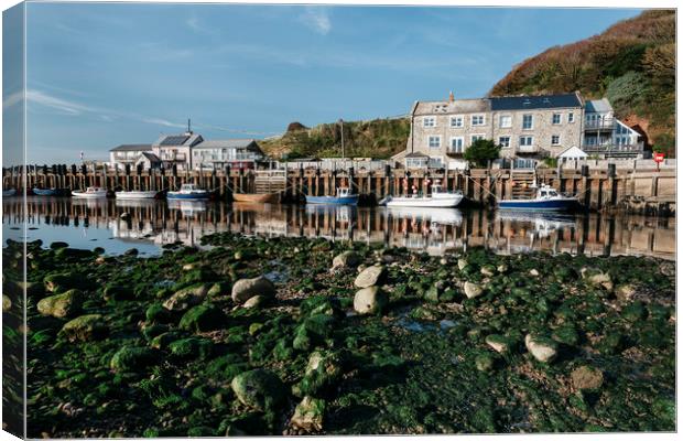 Boats moored in the harbour at Seaton. Devon, UK. Canvas Print by Liam Grant