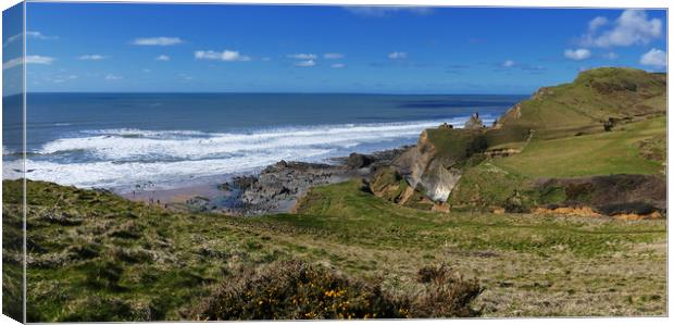 Sandymouth beach panorama Canvas Print by Anthony Michael 