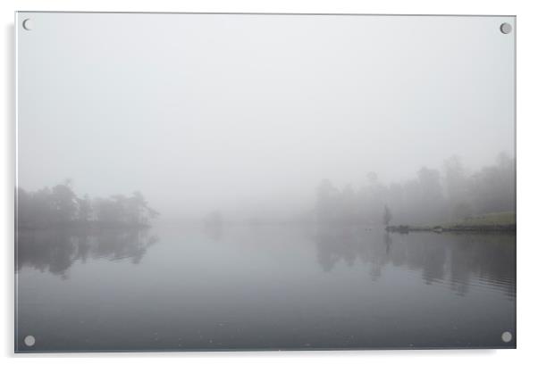 Fog and reflections. Tarn Hows, Cumbria, UK. Acrylic by Liam Grant