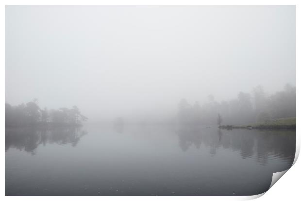 Fog and reflections. Tarn Hows, Cumbria, UK. Print by Liam Grant