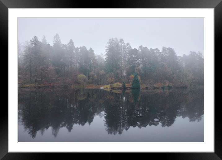 Fog and reflections. Tarn Hows, Cumbria, UK. Framed Mounted Print by Liam Grant