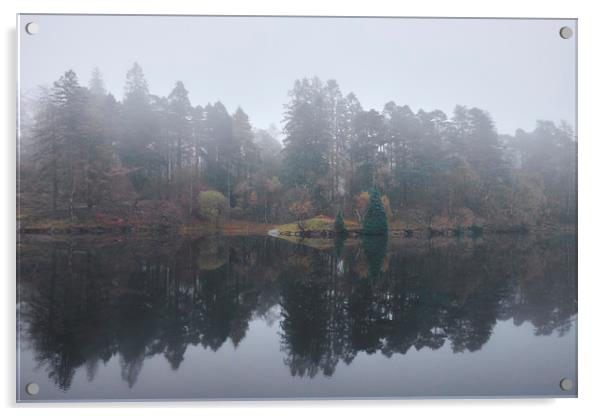 Fog and reflections. Tarn Hows, Cumbria, UK. Acrylic by Liam Grant