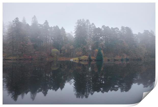 Fog and reflections. Tarn Hows, Cumbria, UK. Print by Liam Grant