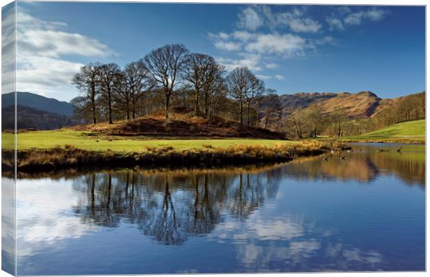 River Brathay Reflections                          Canvas Print by Darren Galpin