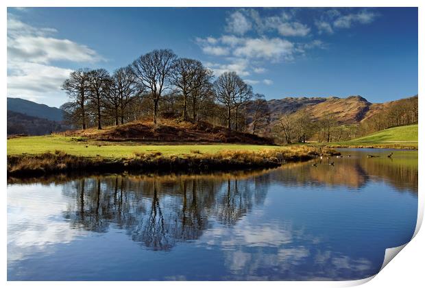 River Brathay Reflections                          Print by Darren Galpin