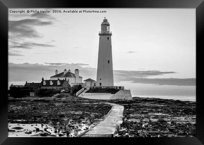St. Mary's Lighthouse Standing Proudly......... Framed Print by Naylor's Photography