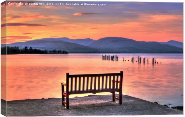 View From The Bench Canvas Print by austin APPLEBY
