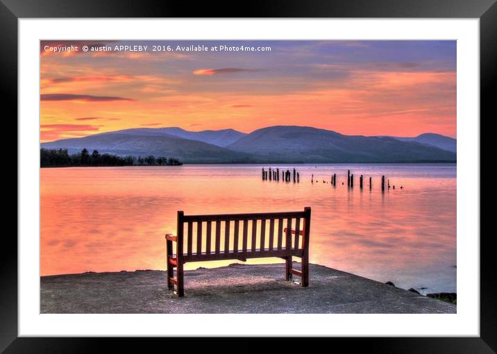 View From The Bench Framed Mounted Print by austin APPLEBY
