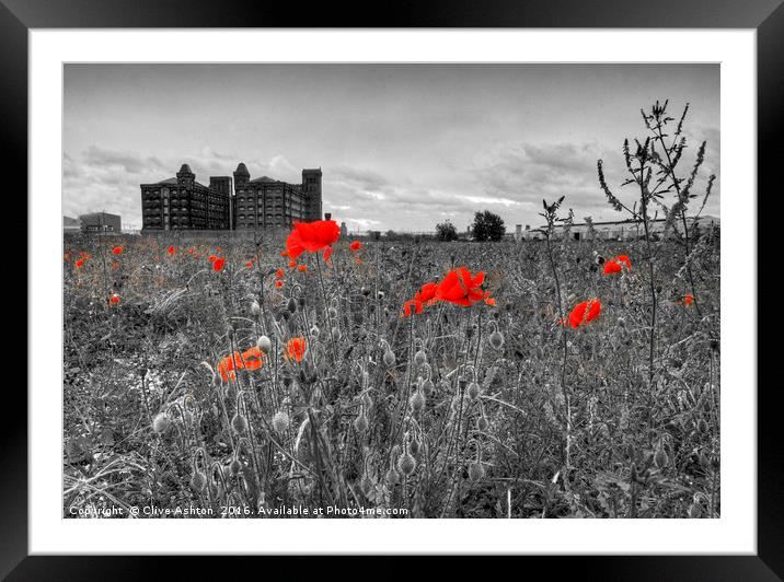 Urban Nature Framed Mounted Print by Clive Ashton