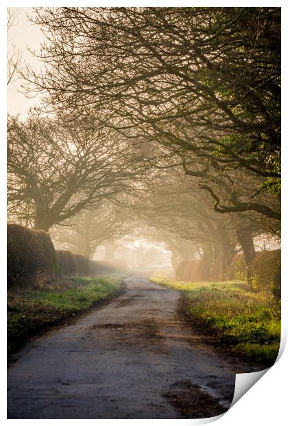 The Road Less Traveled (Portrait Version) Print by Jonathan Grady