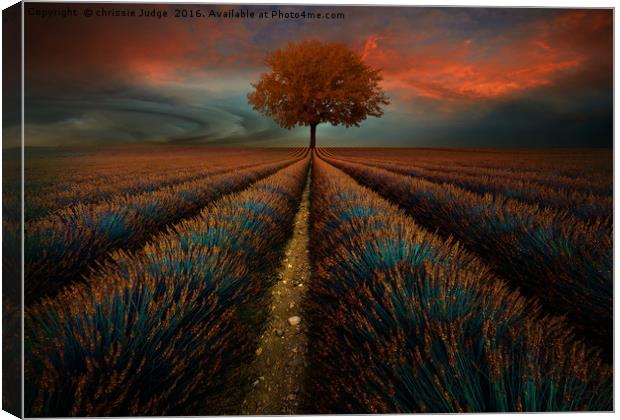 The field  Canvas Print by Heaven's Gift xxx68