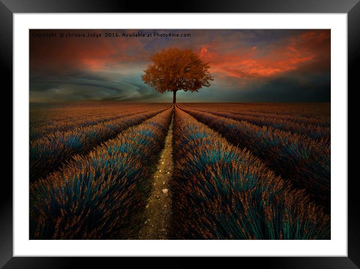 The field  Framed Mounted Print by Heaven's Gift xxx68