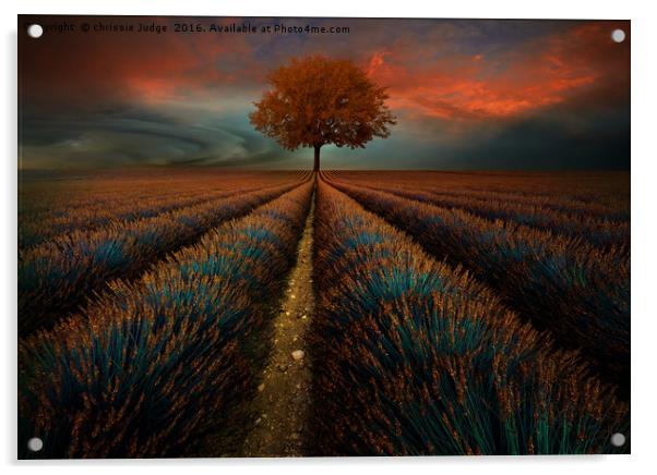 The field  Acrylic by Heaven's Gift xxx68